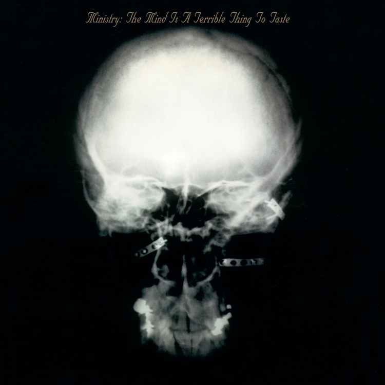 Ministry - The Mind is a Terrible Thing to Taste (expanded version) - 2 LPs for the Rocktober Series