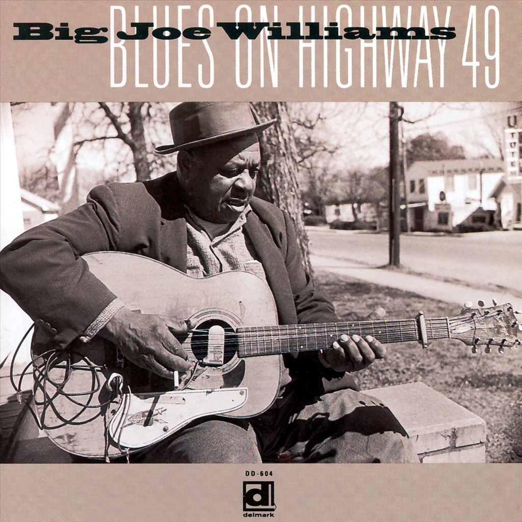 Big Joe Williams - Blues on Highway 49