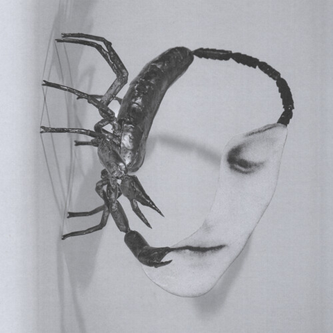 Tortoise - Touch