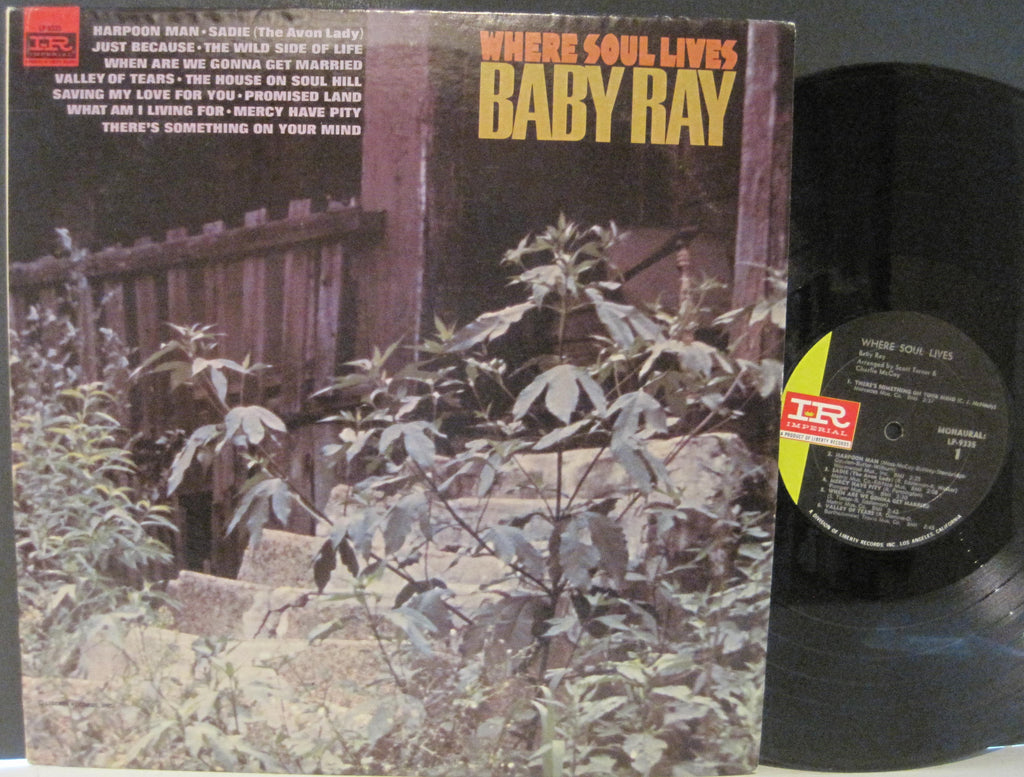 Baby Ray - Where Soul Lives