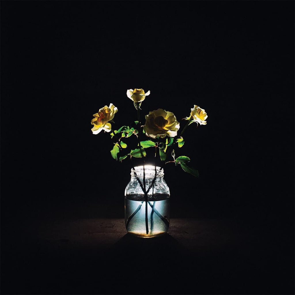 Billy Strings - Renewal 2 LP - 180g