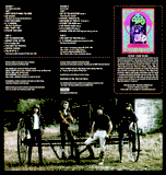 Seeds - The Seeds MONO Deluxe 2 LP set