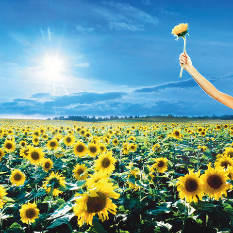 Stone Temple Pilots - Thank You - 2 LPs on limited colored vinyl