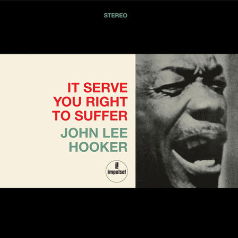 John Lee Hooker - It Serves You Right to Suffer