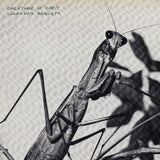 Courtney Barnett - Creature of Habit