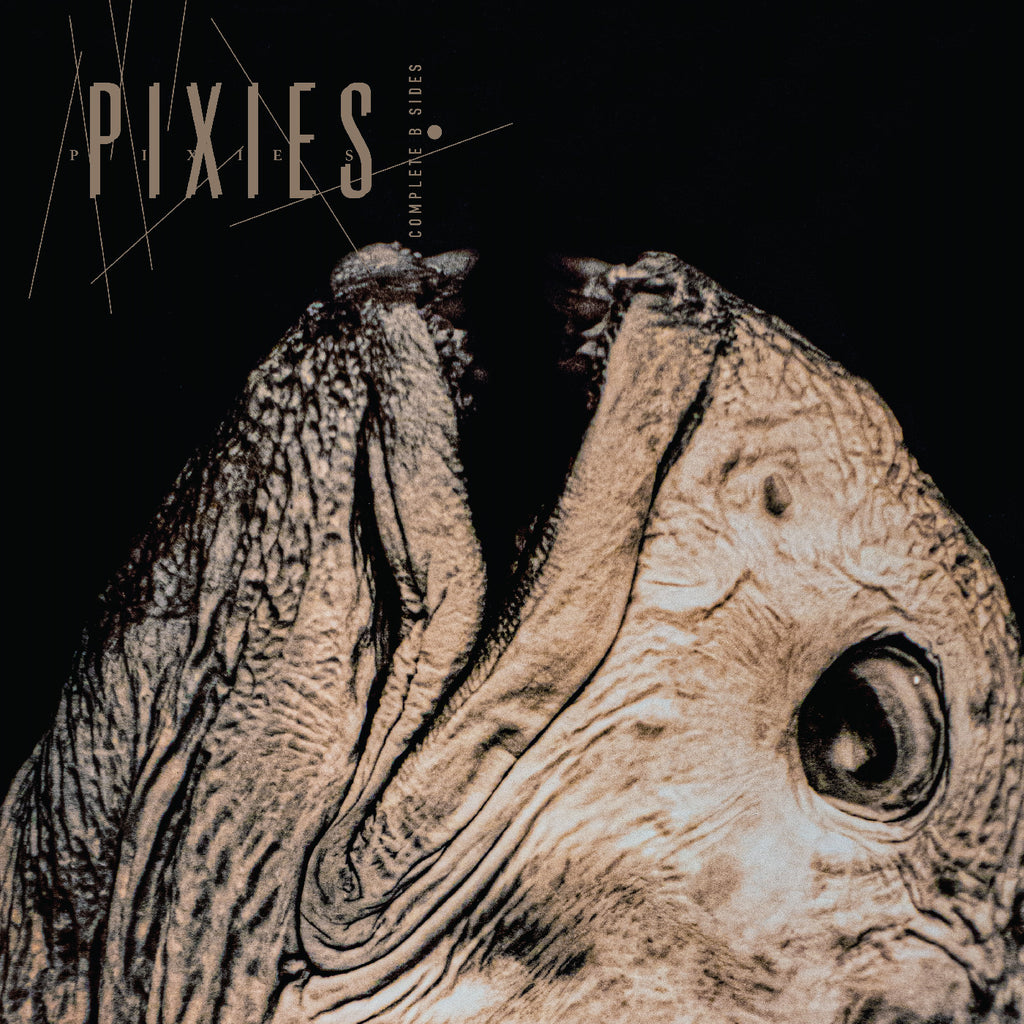 Pixies - Complete B-Sides - 2 LP set