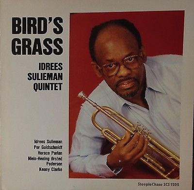 Idrees Sulieman - Bird's Grass