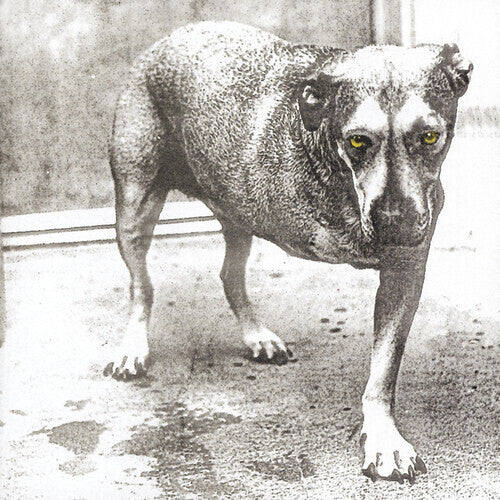 Alice in Chains - s/t debut - 2 LP 30th Anniversary edition on limited colored vinyl
