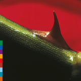 Nusrat Fateh Ali Khan - Night Song - 30th Anniversary Edition on limited colored vinyl