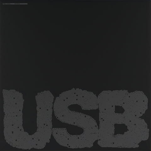 Fred Again... - USB002 - 2 LPs