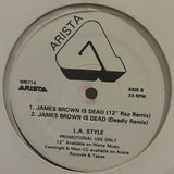 L.A. Style - James Brown is Dead 12"