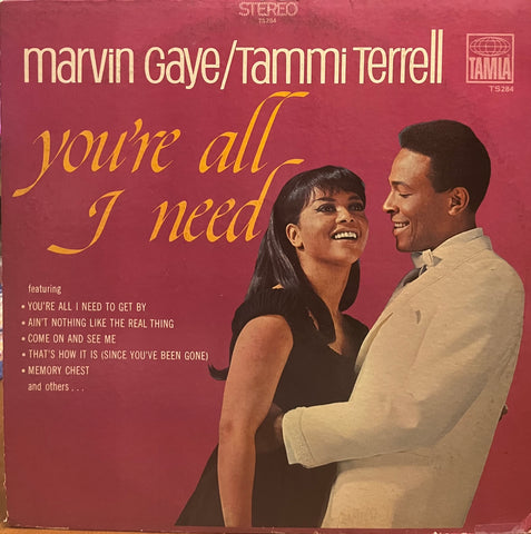 Marvin Gaye & Tammi Terrell - You're All I Need