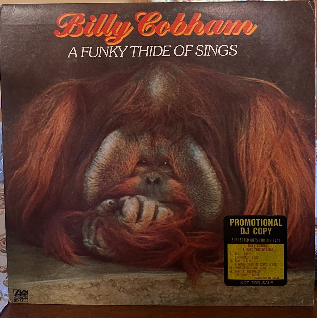 Billy Cobham - A Funky Thide of Sings