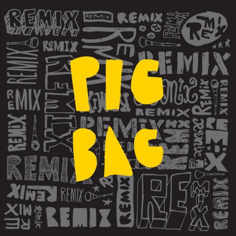 Pigbag - Papa's Got a Brand New Pigbag - 12"