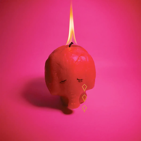 Arcade Fire - Pink Elephant