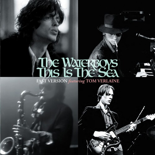 Waterboys - This is the Sea (Fast) - special 10" single for BF-RSD