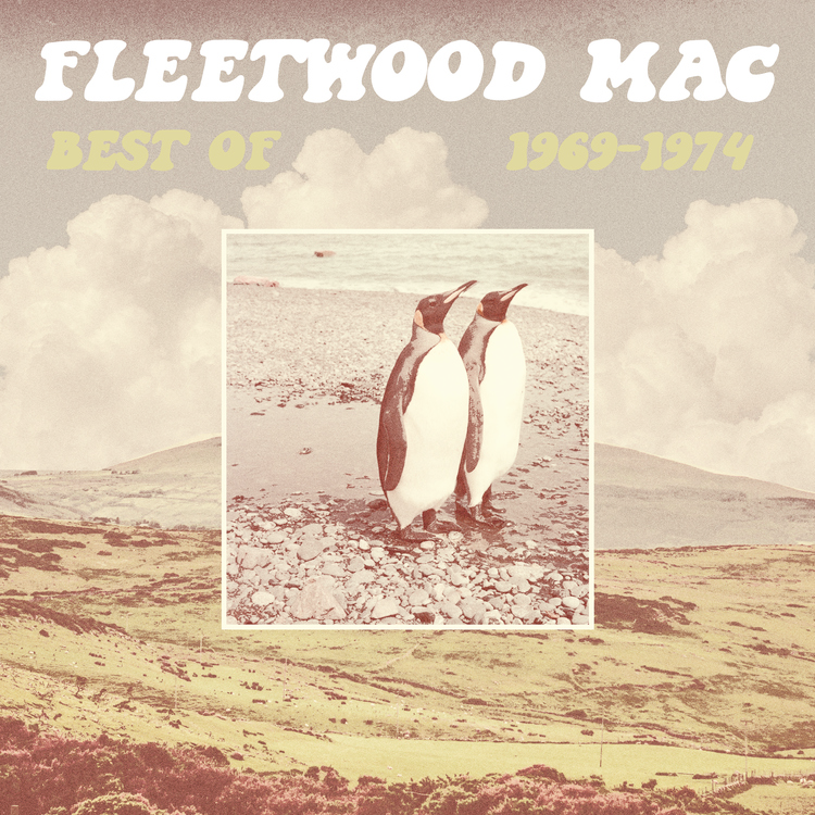 Fleetwood Mac - 1969-1974 - 2 LPs on 180g vinyl