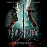 Alexandre Desplat - Harry Potter & The Deathly Hallows Pt 2 - OST - 2 LP set on limited colored vinyl