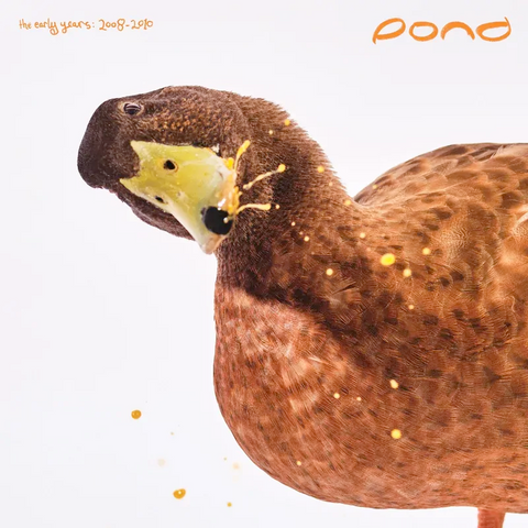 Pond - The Early Years (2008-2010) - 2 LPs on colored vinyl for RSD25