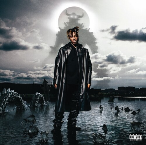 Juice Wrld - Fighting Demons - 2 LP set