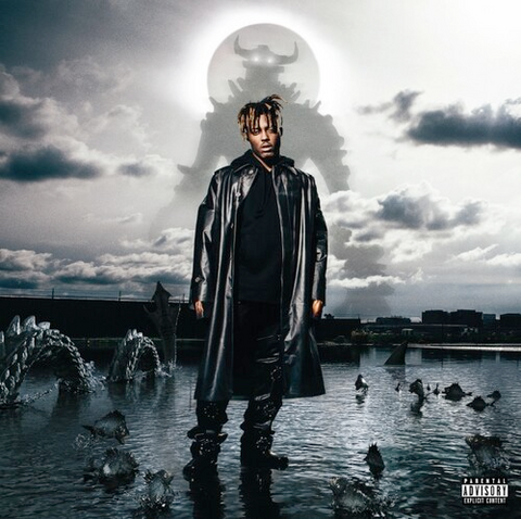 Juice Wrld - Fighting Demons - 2 LP set