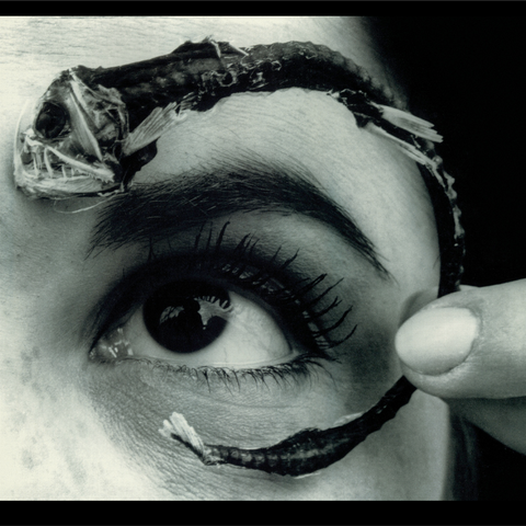 Mr. Bungle - Disco Volante - 2 LPs on limited colored vinyl for Rhino's Rocktober Series