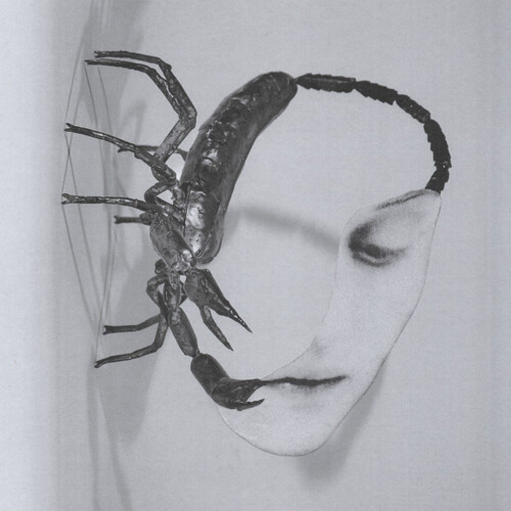 Tortoise - Touch