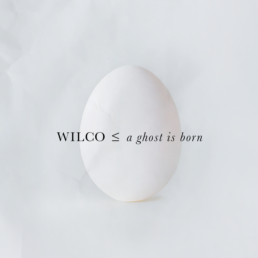 Wilco - A Ghost is Born - 2 LPs