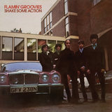 Flamin' Groovies - Shake Some Action - ln limited colored vinyl