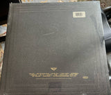 Pearl Jam - Vitalogy