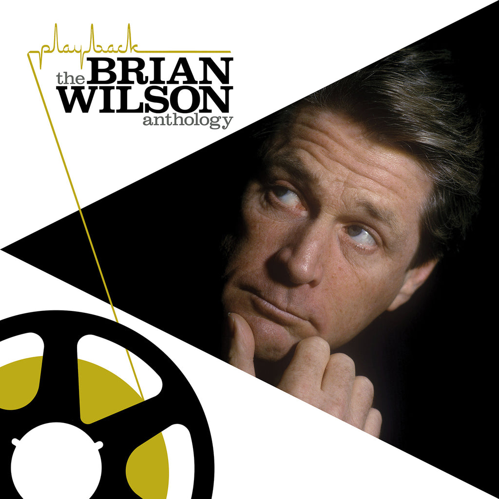Brian Wilson - Playback: The Brian Wilson Anthology 2 LP