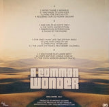 Amerigo Gazaway - A Common Wonder w/ Common & Stevie Wonder 2 LPs