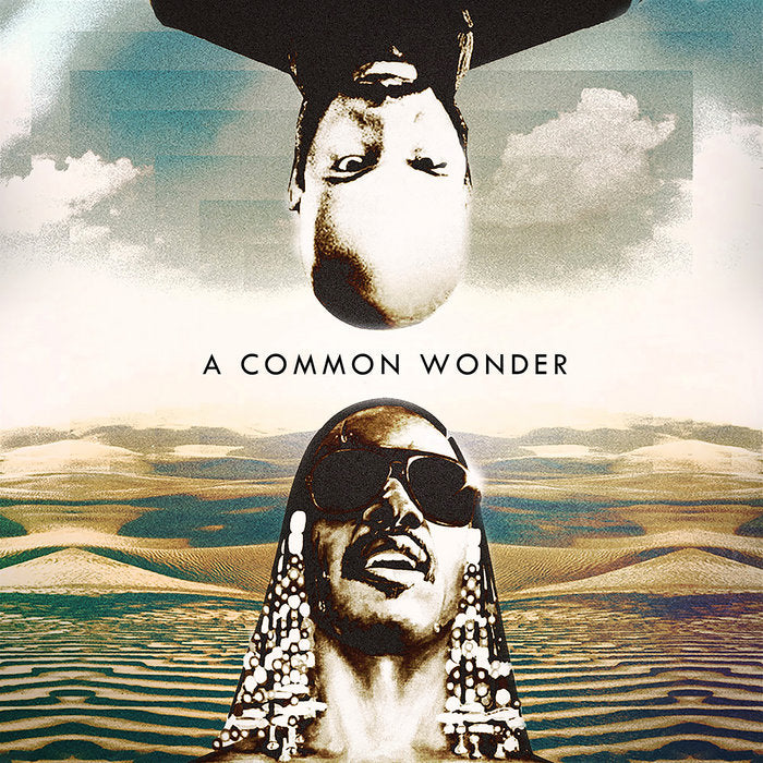 Amerigo Gazaway - A Common Wonder w/ Common & Stevie Wonder 2 LPs