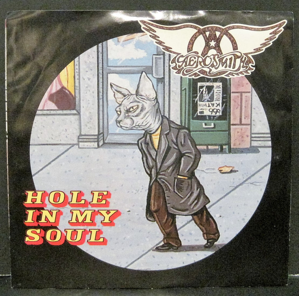 Aerosmith - Hole in My Soul b/w Falling Off  PS