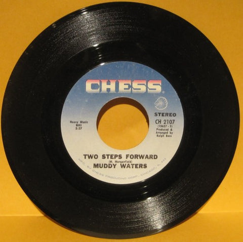 Muddy Waters - Two Steps Forward/ Making Friends