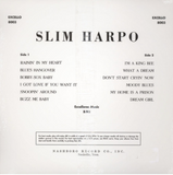 Slim Harpo - Raining in My Heart