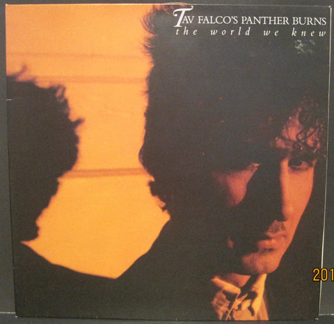 Tav Falco and The Panther Burns - The World We Knew