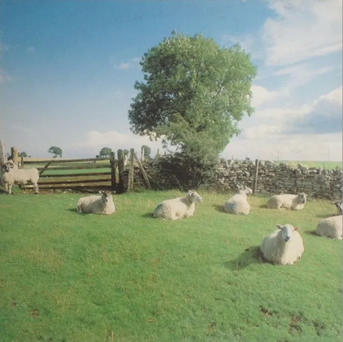KLF - Chill Out import on colored vinyl