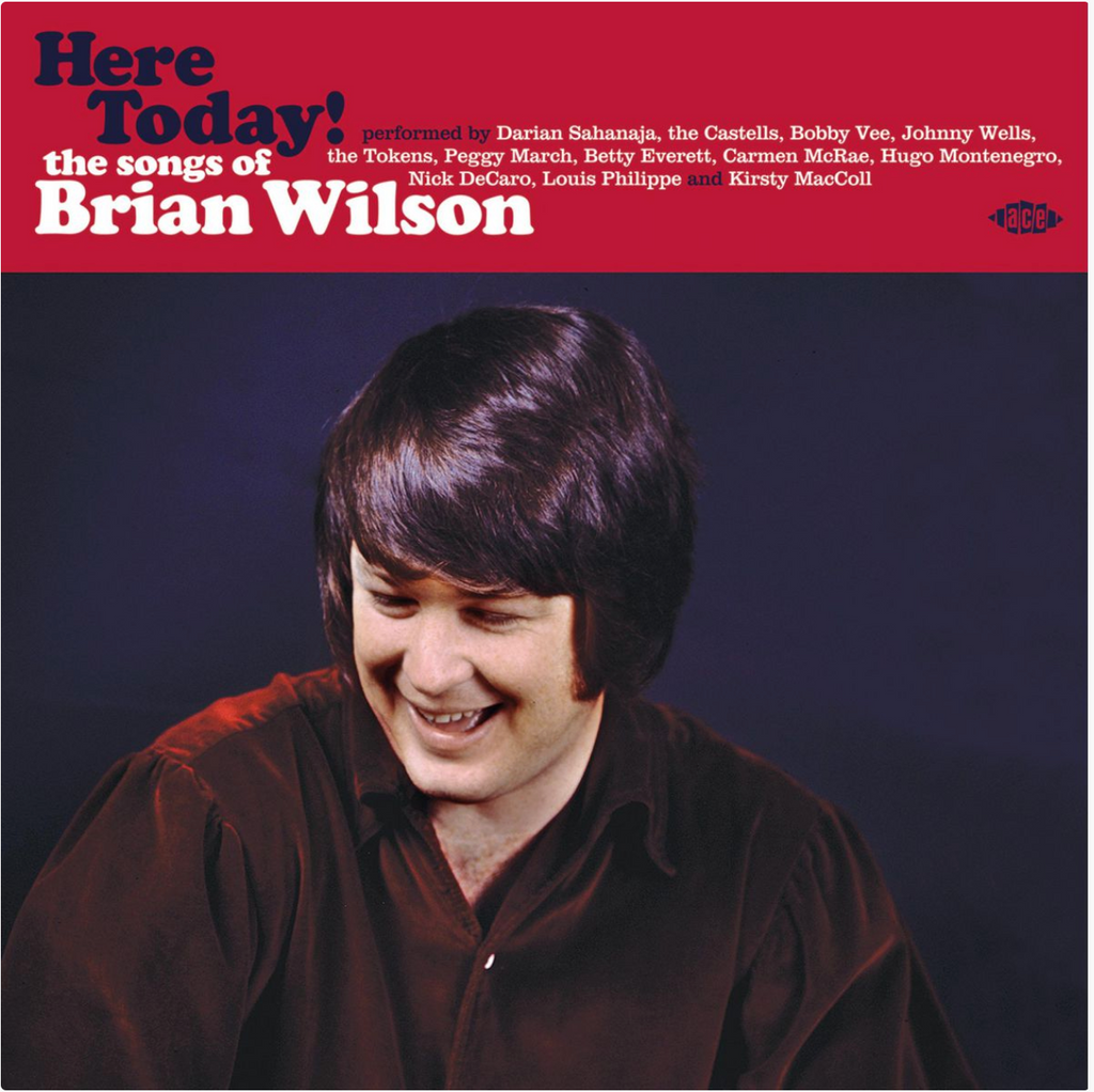 VA - Here Today: the Songs of Brian Wilson - import