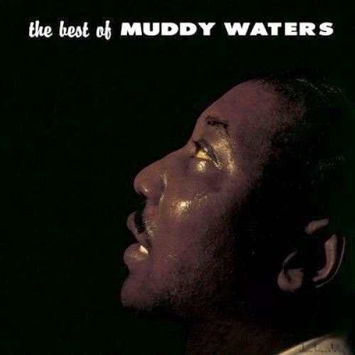 Muddy Waters - The Best of 14 Essential tracks!!